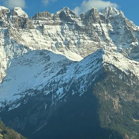 Les Quatre Saisons - Balcon Et Jardin 4* Val dʼIlliez