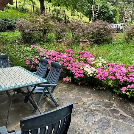 Les Quatre Saisons - Balcon Et Jardin בית הארחה Val dʼIlliez