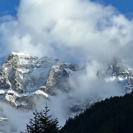 Гостевой дом Les Quatre Saisons - Balcon Et Jardin