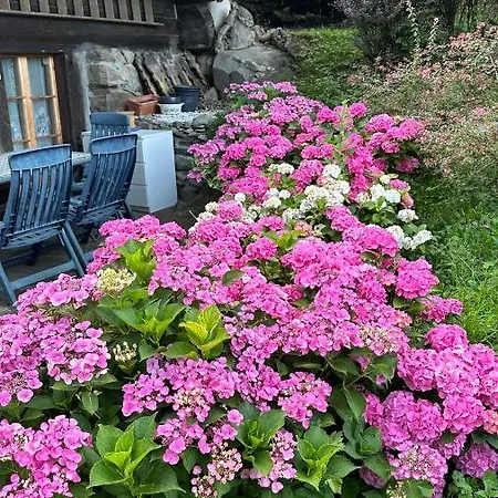 Les Quatre Saisons - Balcon Et Jardin Гостевой дом